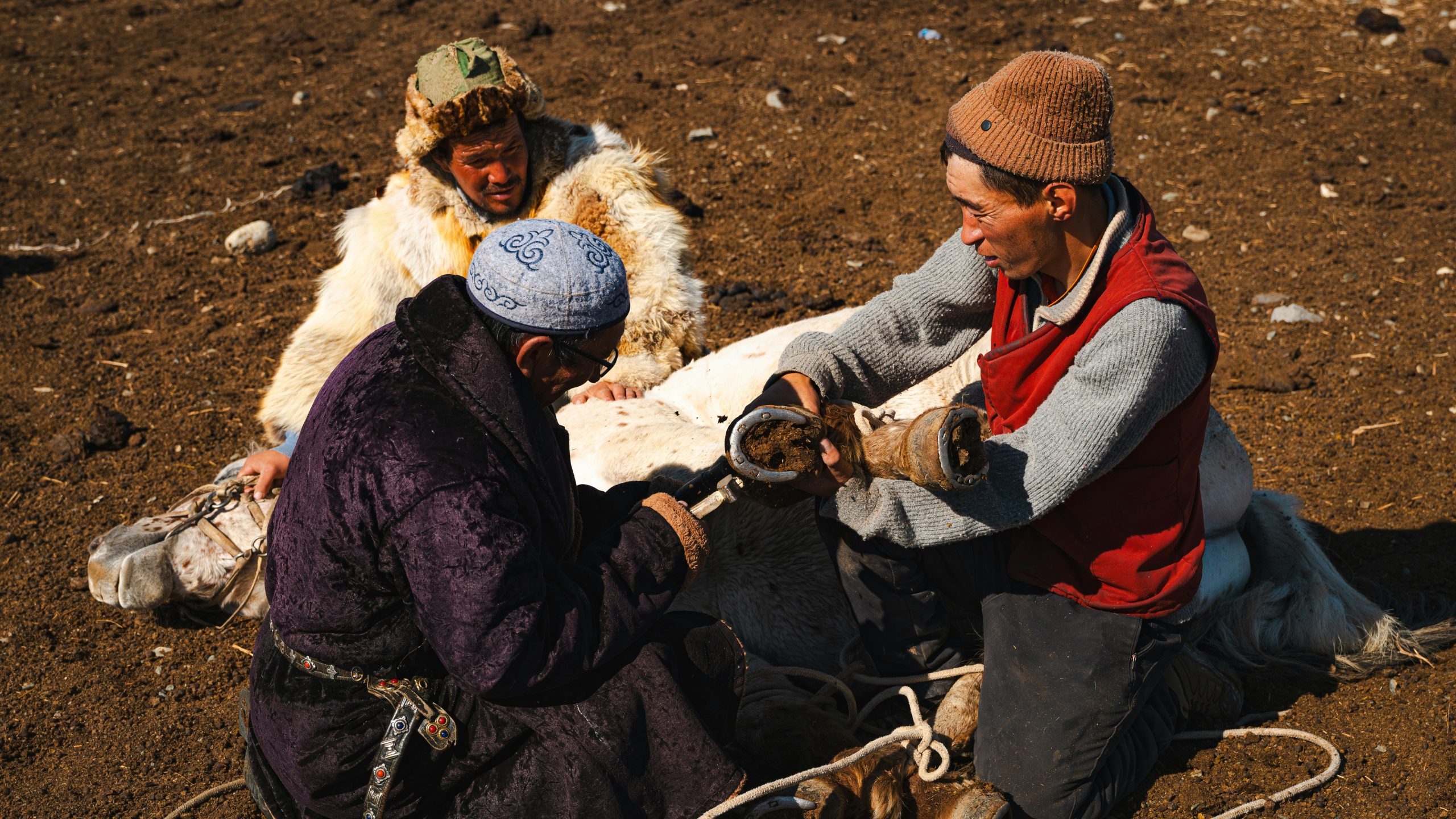 A retro gif of a Tamagotchi being fed, symbolizing ongoing nurturing efforts